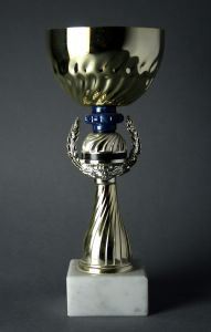 789161_trophy.jpg