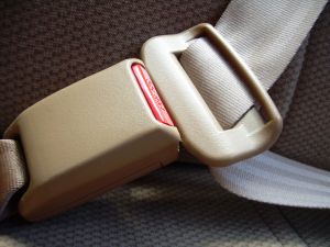 647050_safety_belt_2.jpg