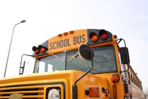 144846_schoolbus.jpg