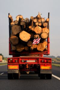 844512_mobile_dead_trees___.jpg