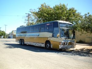 43861_robert82_outback_coach.jpg