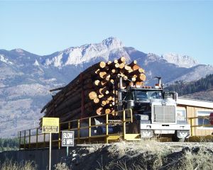 745925_logging_in_bc.jpg