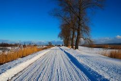 1134090_winter_landscape.jpg