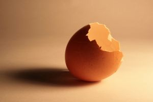 Photo of a broken egg shell