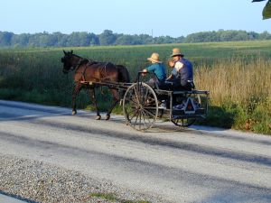 253619_amish_drive-by.jpg