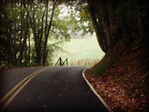 tennessee 070lthe long and winding road.jpg