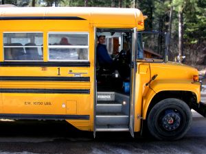 263341_school_bus.jpg