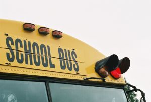 655548_school_bus_red_light.jpg