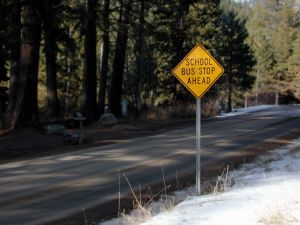 263348_school_bus_stop_sign.jpg