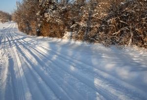 snow-1336027-m.jpg