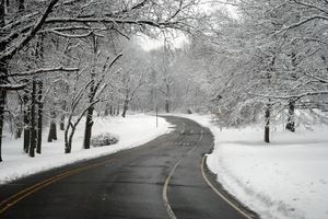 winterroad2.jpg