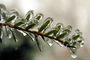 ice-storm-700294-m.jpg