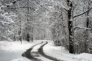 winterroad3.jpg