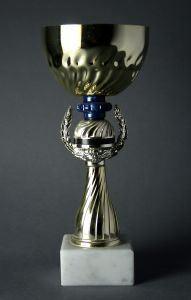 trophy
