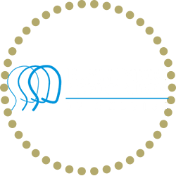 Brain Injury Association of America Award
