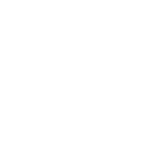 PA Icon